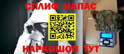 шишки Гусь-Хрустальный