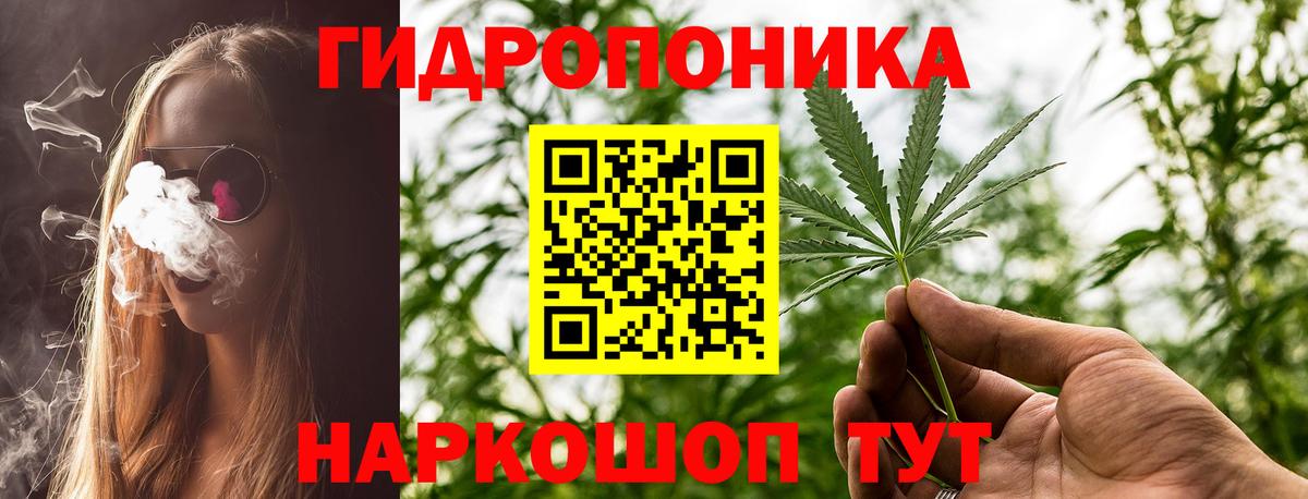 Конопля SATIVA & INDICA  Бошки марихуана план  Конопля тримм  Мурманск  Бошки марихуана тримм  Вход с VPN 